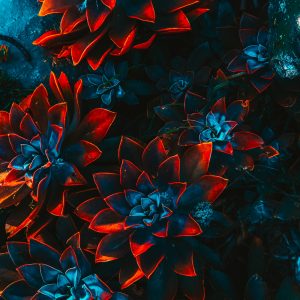 About Me Freelance Artist Floral 4 300x300 1
